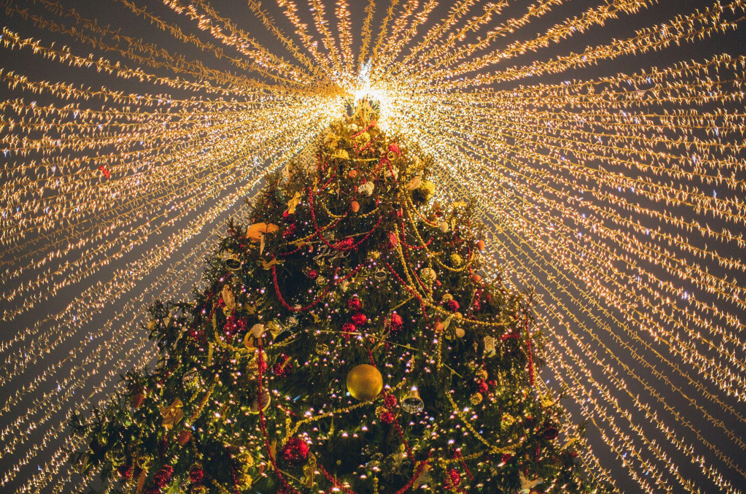 Brighten Your Holidays with Pre-lit Trees